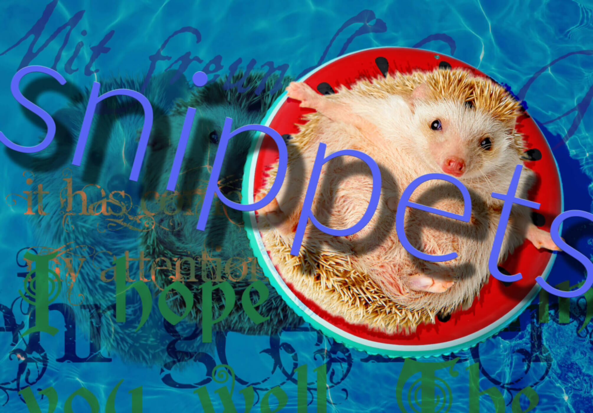 Snippets - the word is superimposed above a hedgehog floating in the pool on an inflatable.